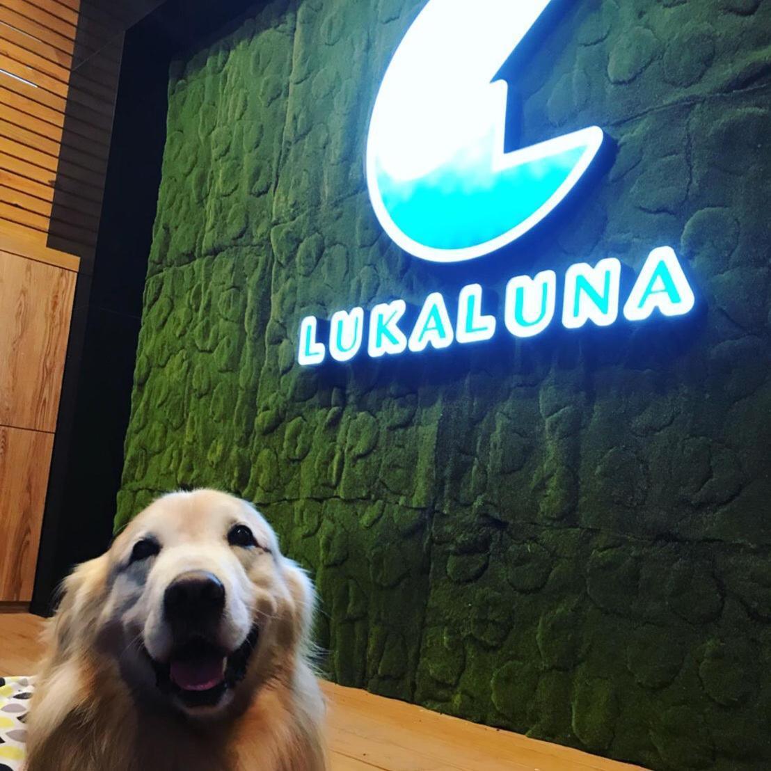 Luka Luna B&B T'ai-tung Eksteriør bilde